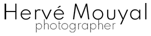 Mobile Logo